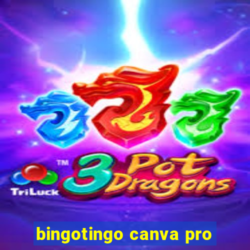 bingotingo canva pro